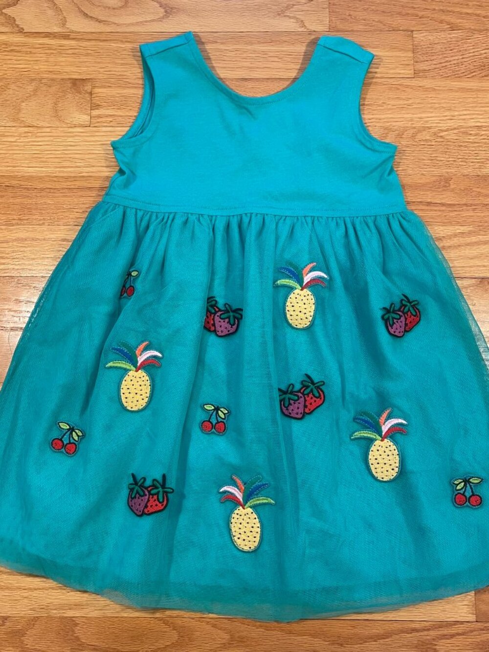 Hanna Andersson Tulle & Embroidery Dress